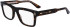 Calvin Klein CK23519 glasses in Dark Havana