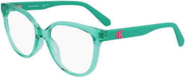 Calvin Klein Jeans CKJ23303 glasses in Green
