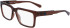 Calvin Klein Jeans CKJ23626 glasses in Brown