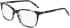 DKNY DK5055 glasses in Black Tortoise