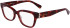 Longchamp LO2713-51 glasses in Red Havana