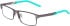 NIKE 5592 glasses in Satin Gunmetal/Clear Jade