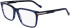Zeiss ZS23533 glasses in Striped Blue