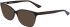 Calvin Klein CK23516-54 sunglasses in Brown