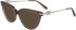 Salvatore Ferragamo SF2946 sunglasses in Transparent Brown
