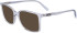 Salvatore Ferragamo SF2954 sunglasses in Light Crystal Grey