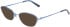 Flexon FLEXON W3041-49 sunglasses in Shiny Slate Blue