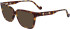 Liu Jo LJ3617 sunglasses in Dark Tortoise