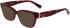 Longchamp LO2713-51 sunglasses in Red Havana