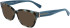 Longchamp LO2713-54 sunglasses in Aqua Havana