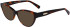Longchamp LO2721 sunglasses in Havana