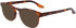NIKE 7162 sunglasses in Soft Tortoise