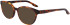 NIKE 7164 sunglasses in Soft Tortoise