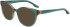 NIKE 7164 sunglasses in Crystal Jade/Bronze