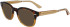 Calvin Klein CK23511 sunglasses in Brown Havana