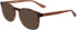 Calvin Klein CK23517 sunglasses in Havana