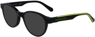 Calvin Klein Jeans CKJ23302 sunglasses in Black