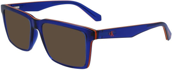 Calvin Klein Jeans CKJ23611 sunglasses in Blue
