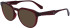 Calvin Klein Jeans CKJ23616 sunglasses in Burgundy