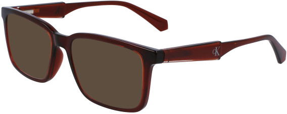 Calvin Klein Jeans CKJ23617 sunglasses in Brown