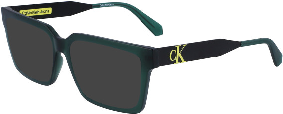 Calvin Klein Jeans CKJ23619 sunglasses in Green