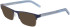 Converse CV3022 sunglasses in Matte Converse Navy