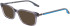 Converse CV5070 sunglasses in Crystal Cyber Grey