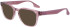 Converse CV5079 sunglasses in Crystal Lucid Lilac