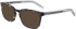 Converse CV5080 sunglasses in Slate Tokyo Tortoise