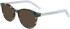 Converse CV5081 sunglasses in Teal Tokyo Tortoise