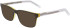 Converse CV5082Y sunglasses in Crystal Cargo/Citron Laminate