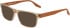 Converse CV5085Y sunglasses in Crystal Nomad Khaki