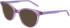 DKNY DK5050 sunglasses in Crystal Orchid