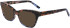 DKNY DK5053 sunglasses in Mocha/Blue Tort Gradient