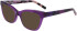 DKNY DK5053 sunglasses in Crystal Purple
