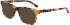 Dragon DR7009 sunglasses in Koi Tortoise