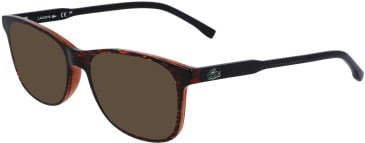 Lacoste L3657 sunglasses in Brown Horn