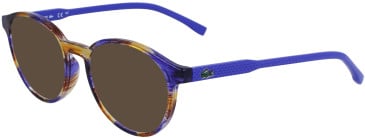 Lacoste L3658 sunglasses in Havana Blue