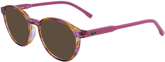 Lacoste L3658 sunglasses in Havana Lilac