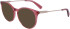 Longchamp LO2720 sunglasses in Nude
