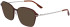 Skaga SK2147 MARSTRAND sunglasses in Brown