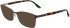 Skaga SK2148 KUNGSHAMN-53 sunglasses in Brown