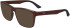 Zeiss ZS23531 sunglasses in Matte Transparent Brown