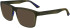 Zeiss ZS23531 sunglasses in Matte Transparent Green