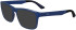 Zeiss ZS23531 sunglasses in Matte Transparent Blue