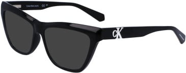 Calvin Klein Jeans CKJ23614 sunglasses in Black