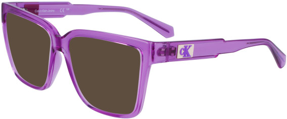Calvin Klein Jeans CKJ23625 sunglasses in Purple