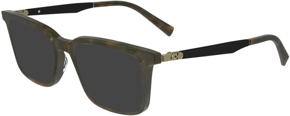 Salvatore Ferragamo SF2969 sunglasses in Dark Tortoise