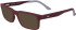 Lacoste L2922-53 sunglasses in Dark Red