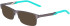 NIKE 5592 sunglasses in Satin Gunmetal/Clear Jade